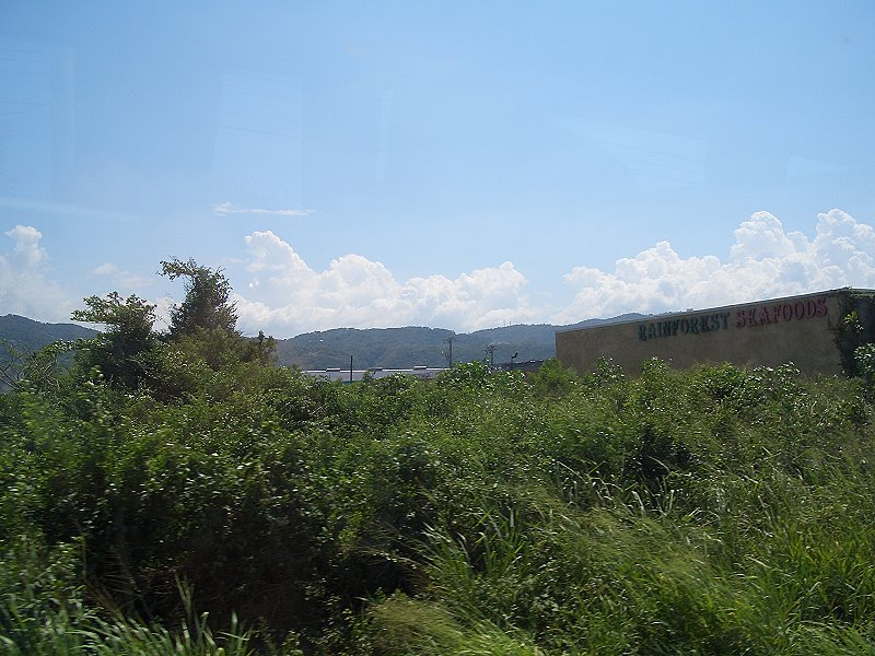 CIMG0054a02