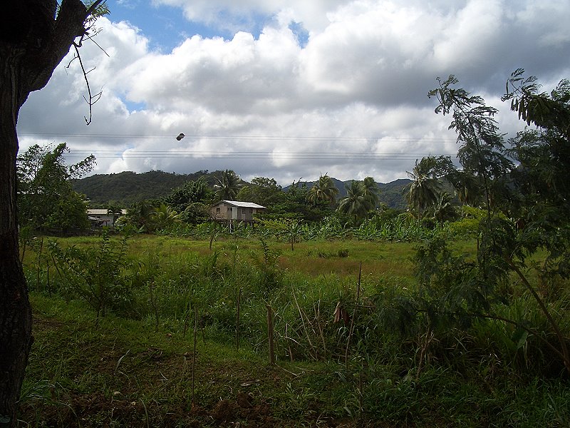 CIMG0487a
