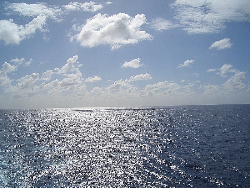 CIMG0660a