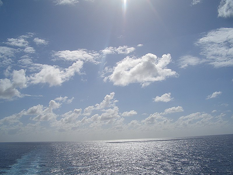 CIMG0661a