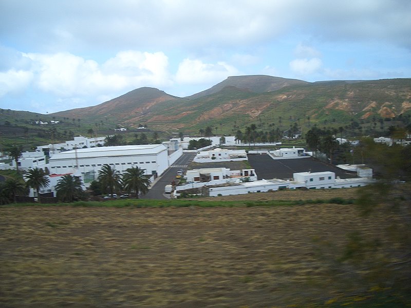 CIMG2137a