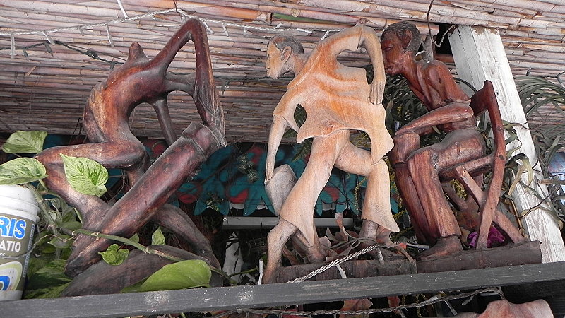 DSCN4459a