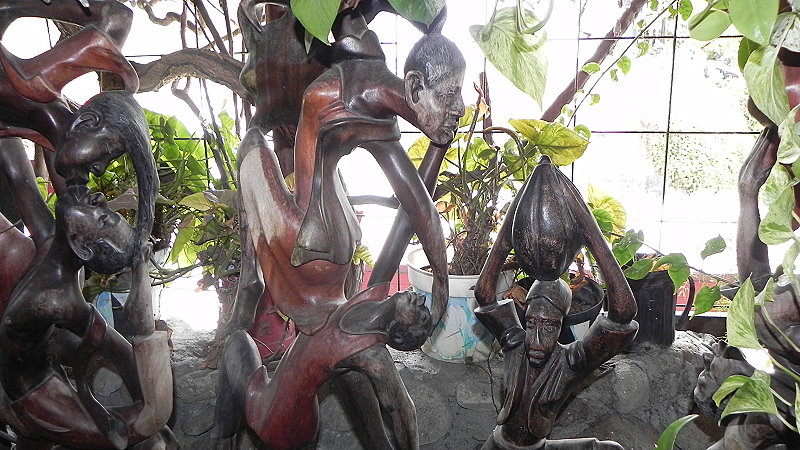 DSCN4462a