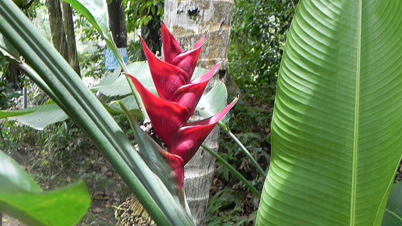 DSCN4488a