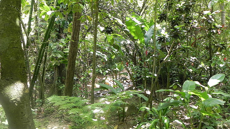 DSCN4492a02