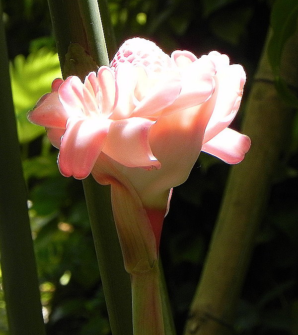 DSCN4510ab