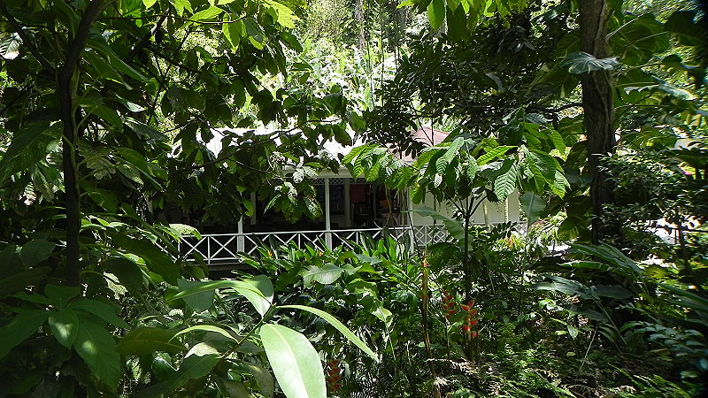 DSCN4530a