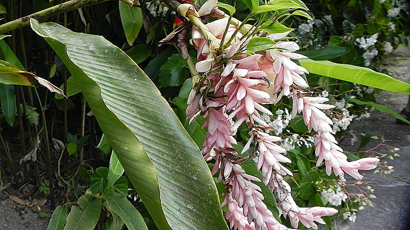 DSCN4560a02