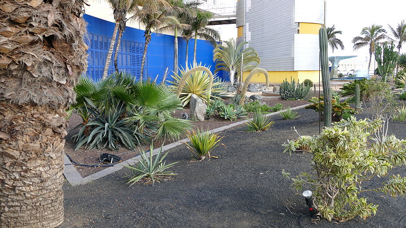 P1030468a