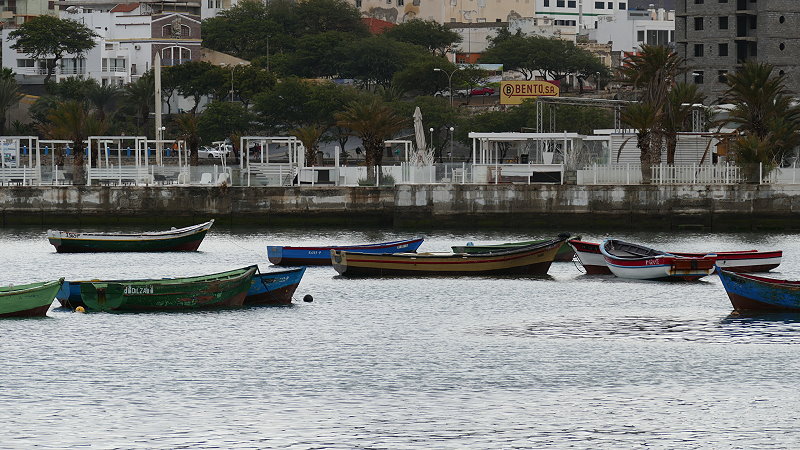 P1030567a