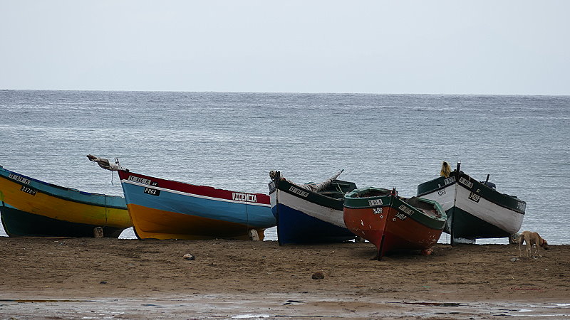 P1030610a