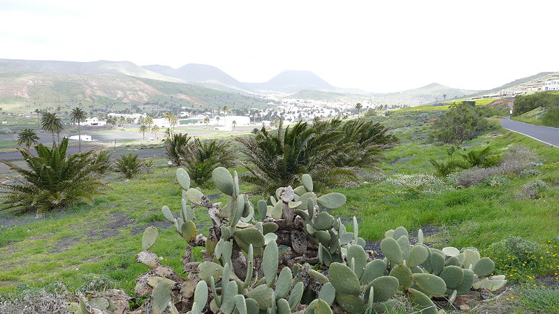 P1030773a