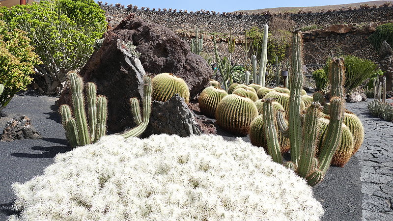P1030797a