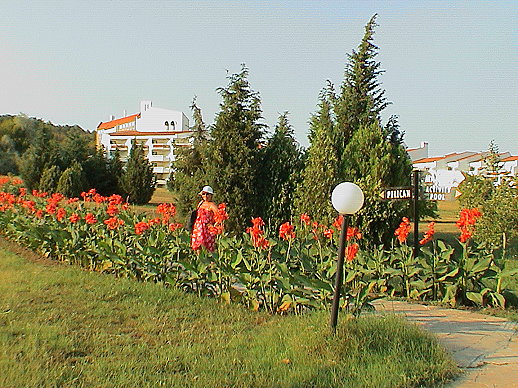 20031a