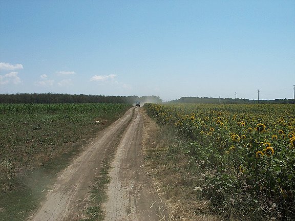 Albena 087a