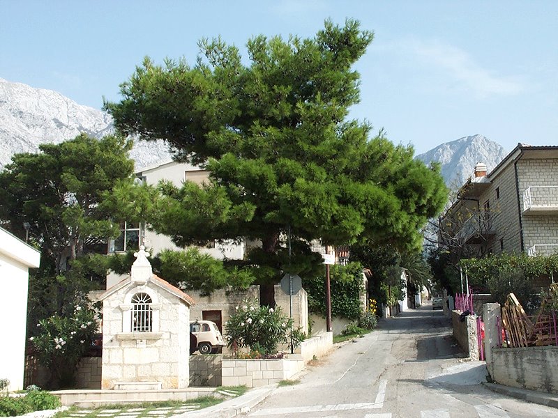 Baska_Voda41a