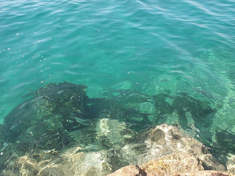 Baska_Voda96a