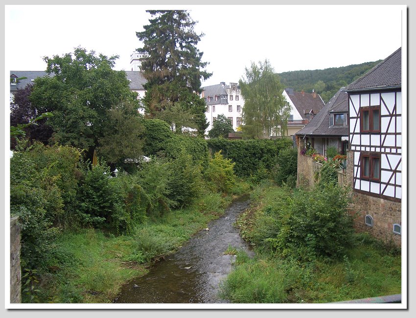 CIMG0194neu