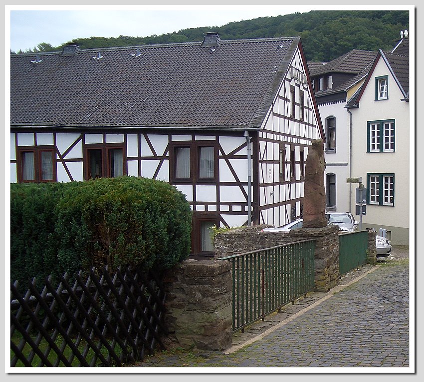 CIMG0196neu