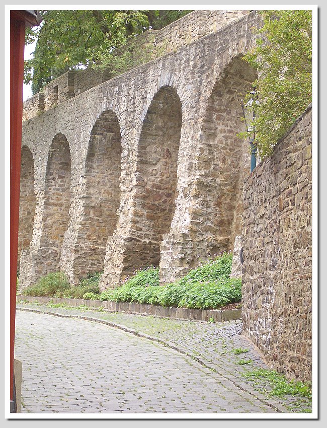 CIMG0238neu