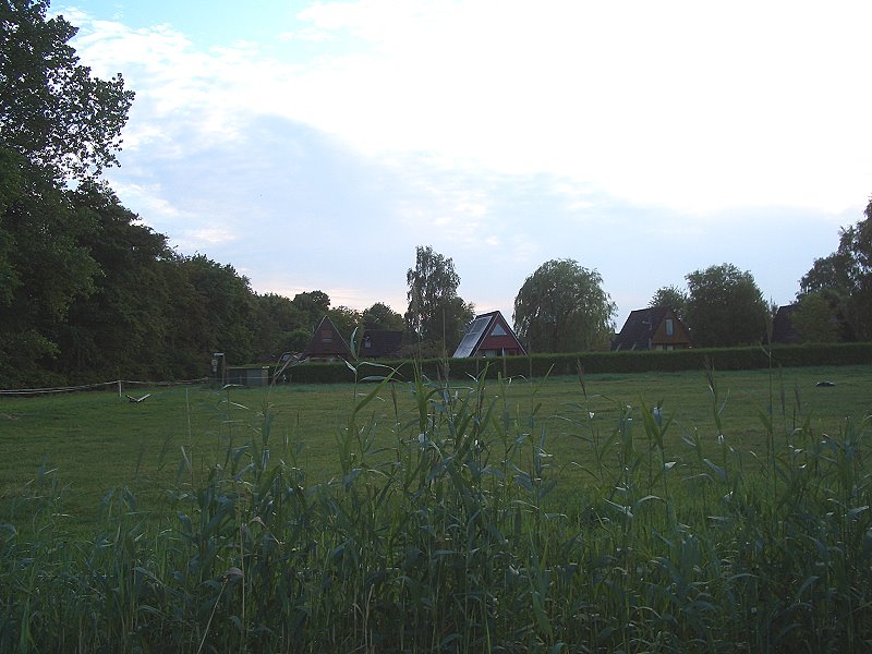 CIMG1273a