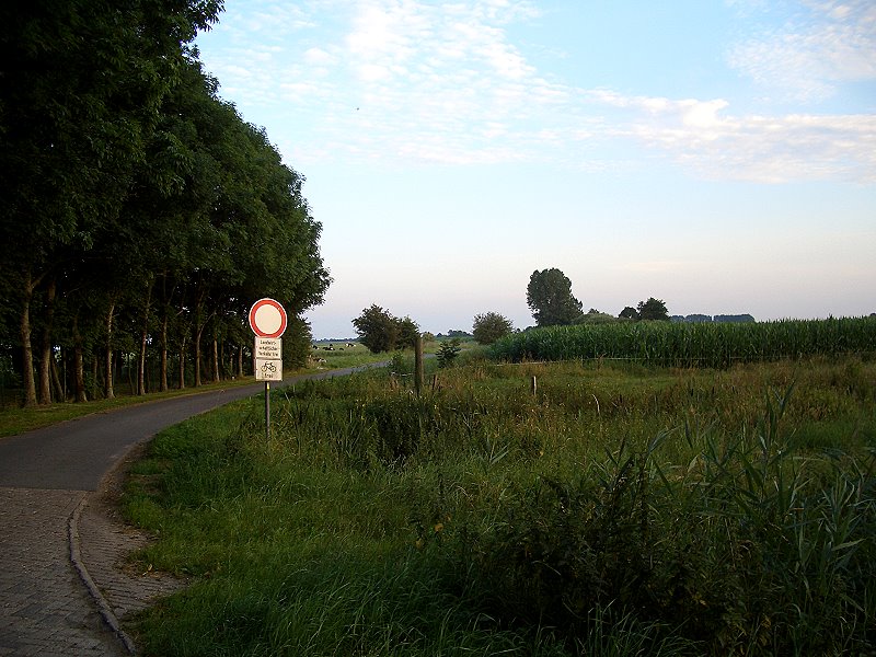 CIMG1275a
