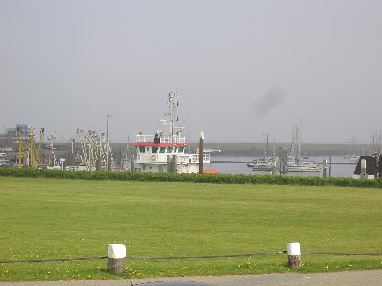 CIMG8078a