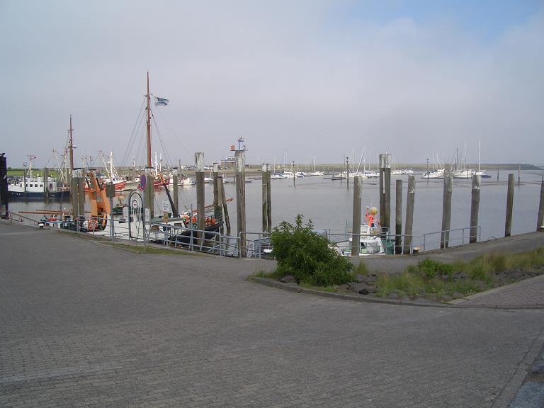 CIMG8097a