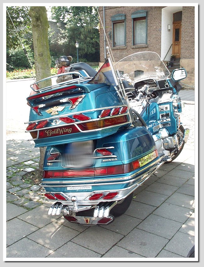 DCP_8523neu