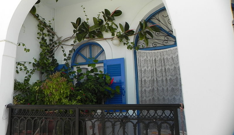 DSCN0692a