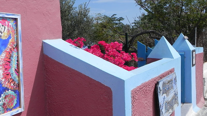 DSCN0715a