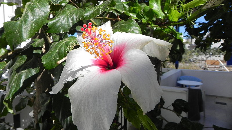 DSCN0770a