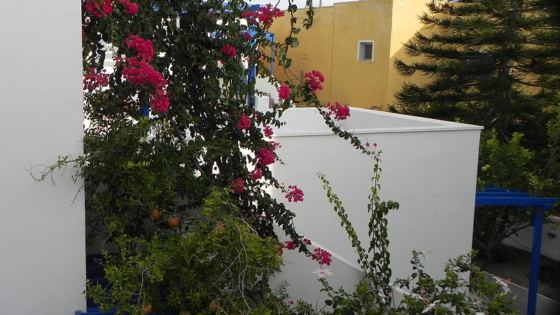 DSCN0816a