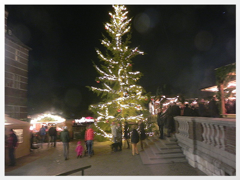 DSCN1057ab