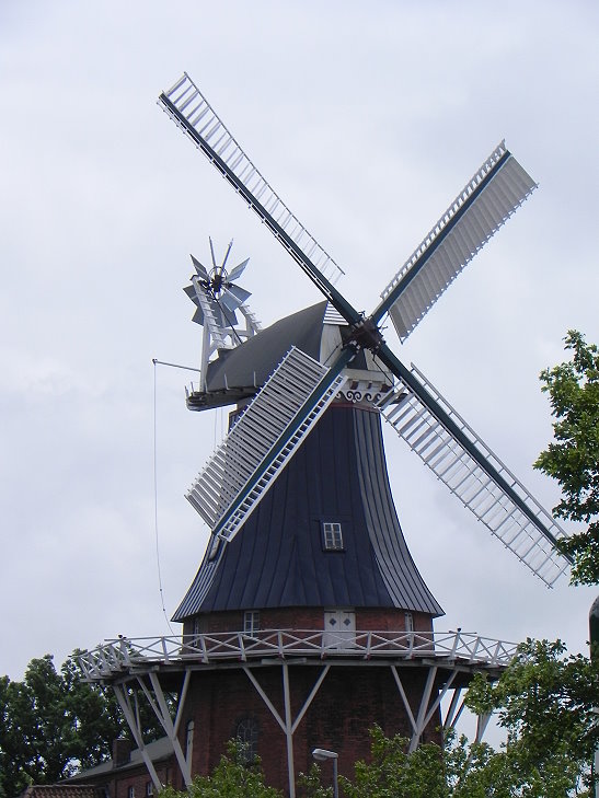DSCN1897a
