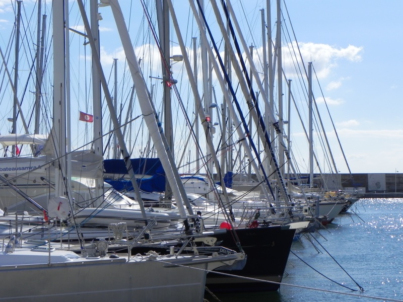 DSCN2597