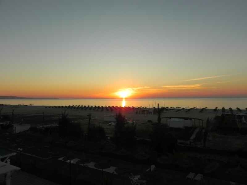 DSCN2632