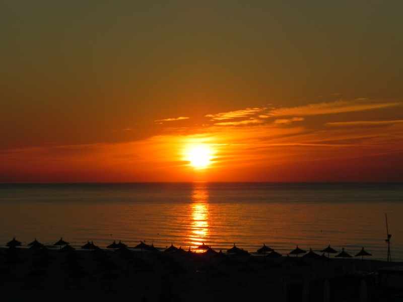 DSCN2633