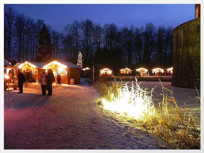 DSCN3173neu