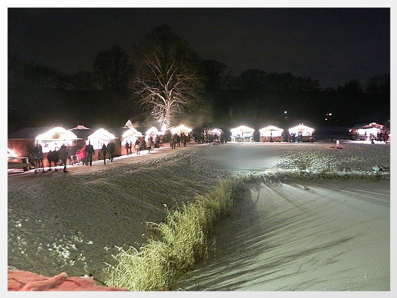 DSCN3185neu