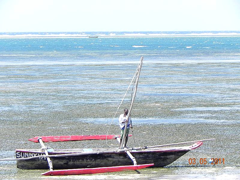 DSCN4484a