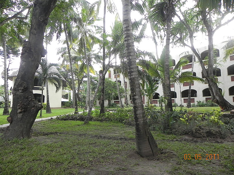 DSCN4500neu