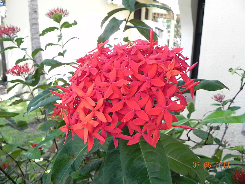 DSCN4575neu02