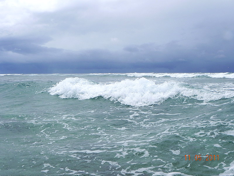 DSCN4766neu