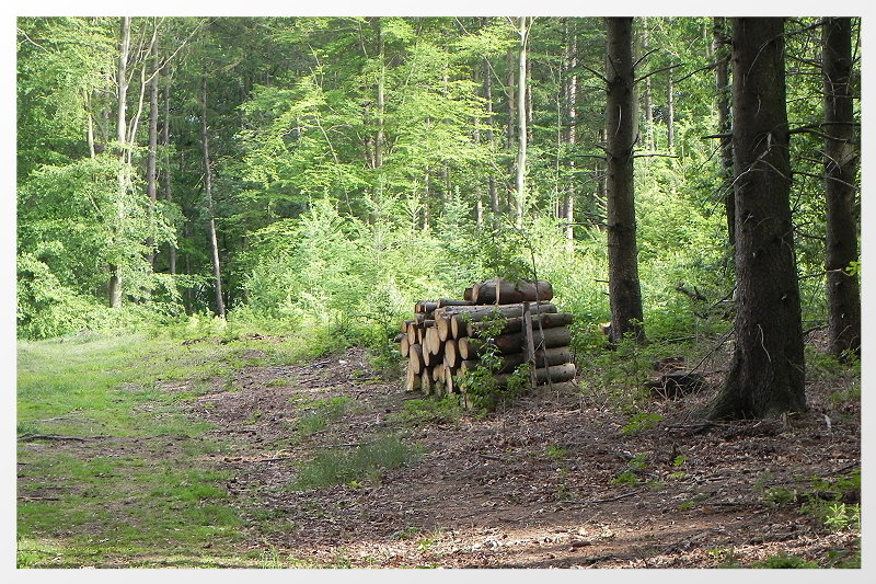 DSCN5221ab