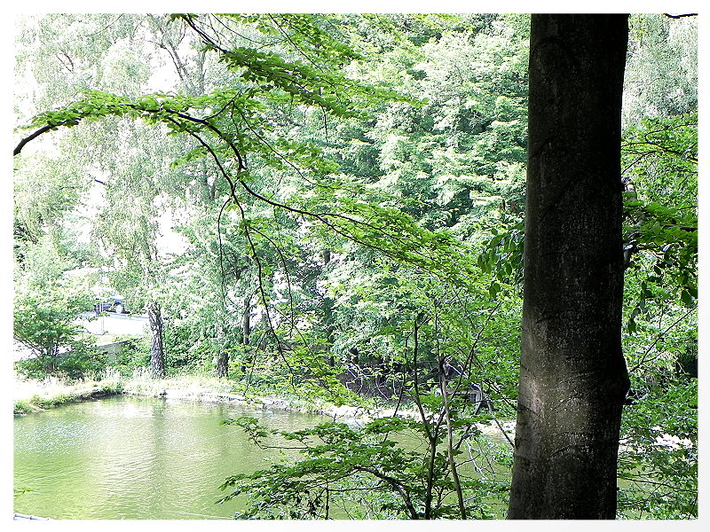 DSCN5636a