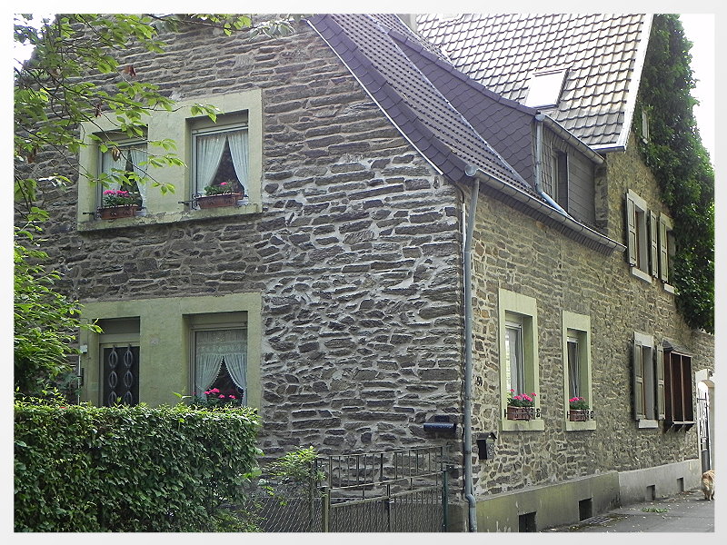 DSCN5661a