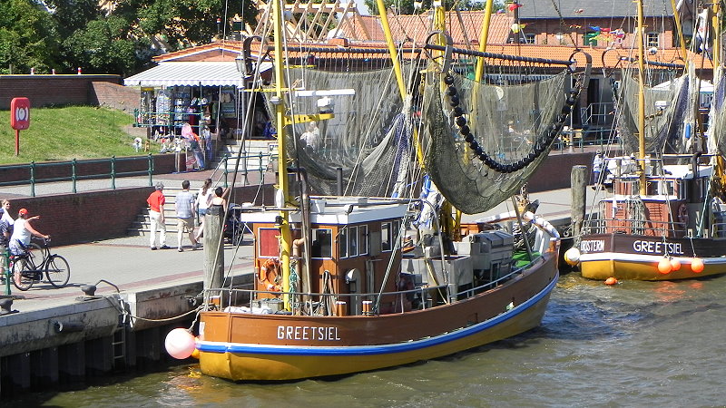 DSCN6181a