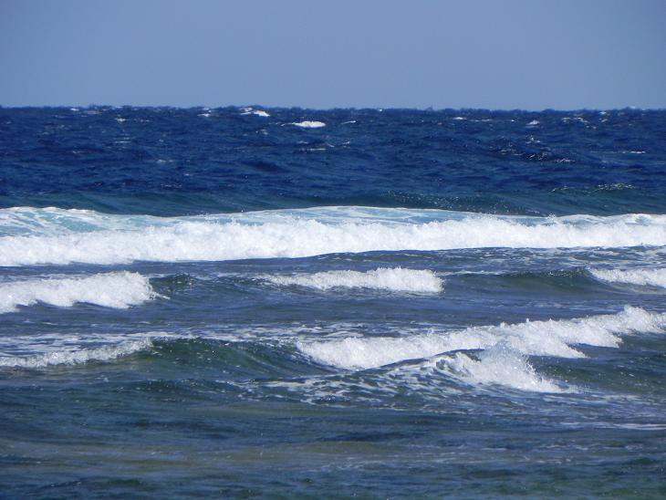 DSCN6237a