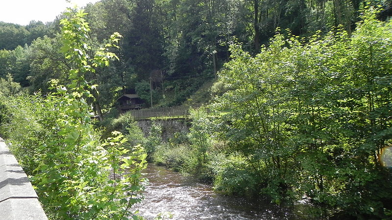 DSCN6275a
